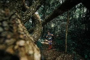 BIB: 
                            <button type="button" onclick="openModal(25704574)" class="btn btn-primary btn-sm float-right btn-popup" data-toggle="modal" data-target=".modal-high-quality">
                        <i class="fas fa-shopping-cart"></i> Add to Cart
                    </button>
                                            <button type="button" onclick="isThisMe(25704574, true)" class="btn btn-success btn-sm float-right btn-popup btn-isme hidden" data-toggle="tooltip" data-placement="bottom" title="นี่คือรูปของคุณใช่ไหม คลิกที่นี่เพื่อเอาเข้าอัลบั้ม">
                        <i class="fas fa-plus"></i> Add to album
                    </button>
                    <button type="button" onclick="isThisMe(25704574, false)" class="btn btn-warning btn-sm float-right btn-popup btn-isnotme hidden">
                        <i class="fas fa-ban"></i> Remove from album
                    </button>